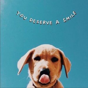 Meet your Posher, Sophie